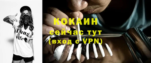 прущий лед Алзамай