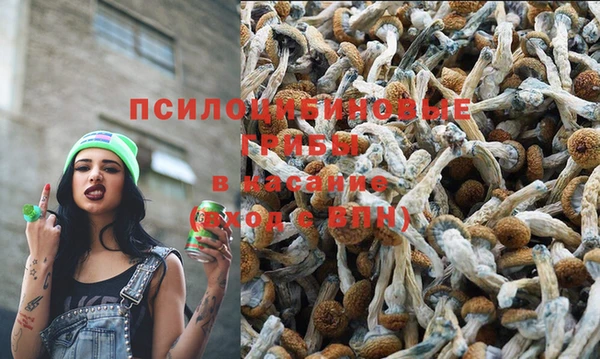 дживик Осташков