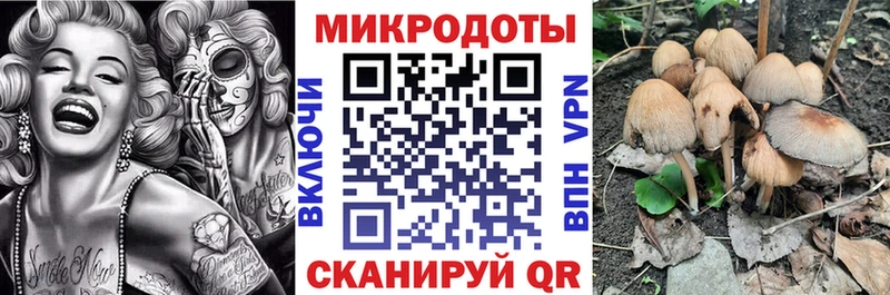 Псилоцибиновые грибы Psilocybine cubensis Прохладный